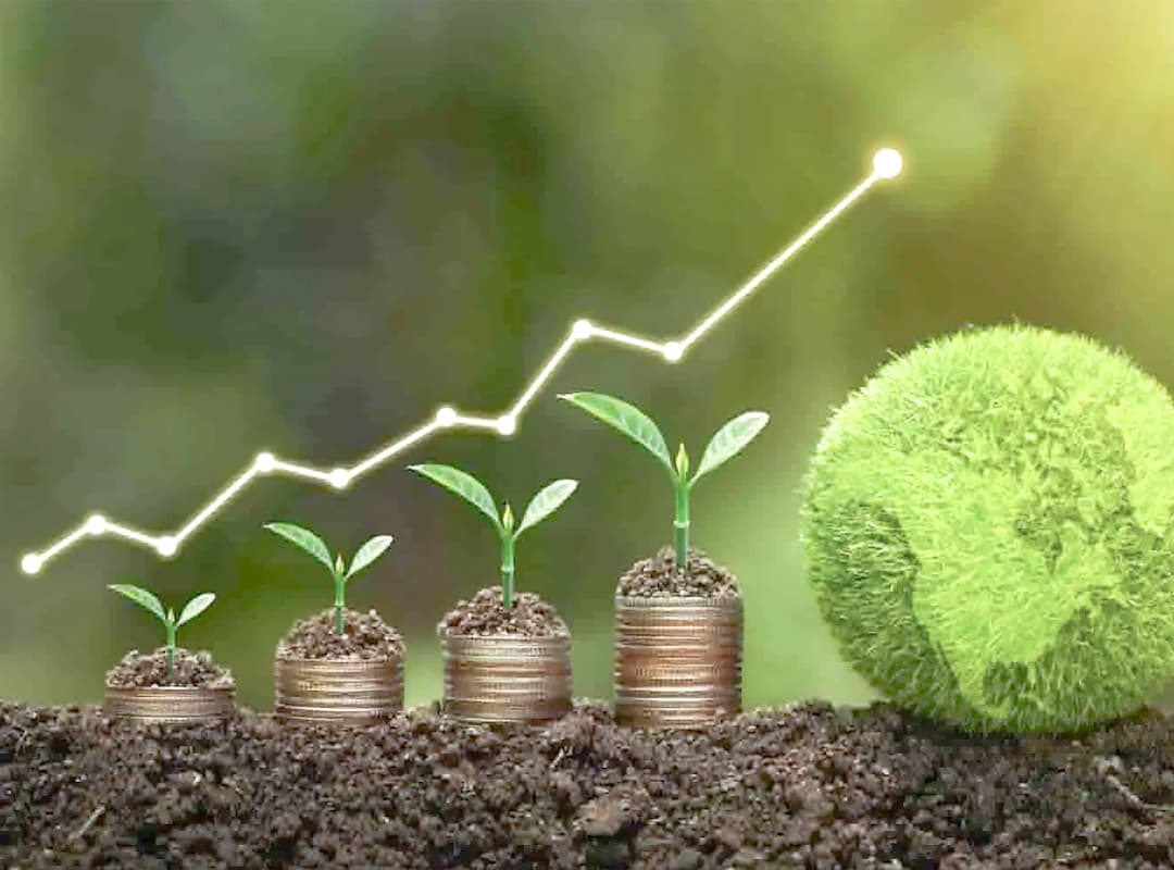 Responsible investment symbolized by coins and growing seedlings